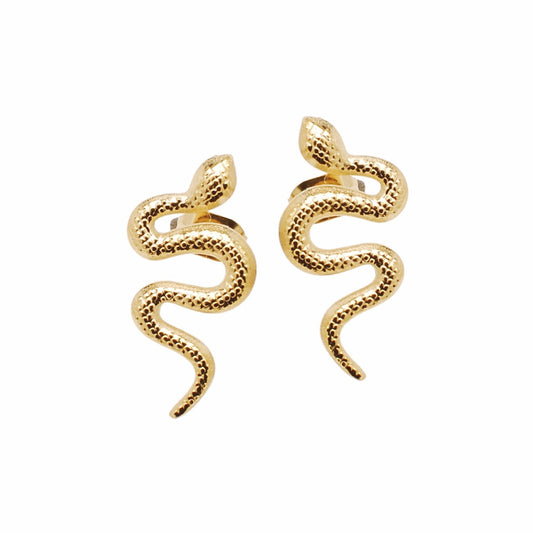 Orecchini in acciaio 316 Snake